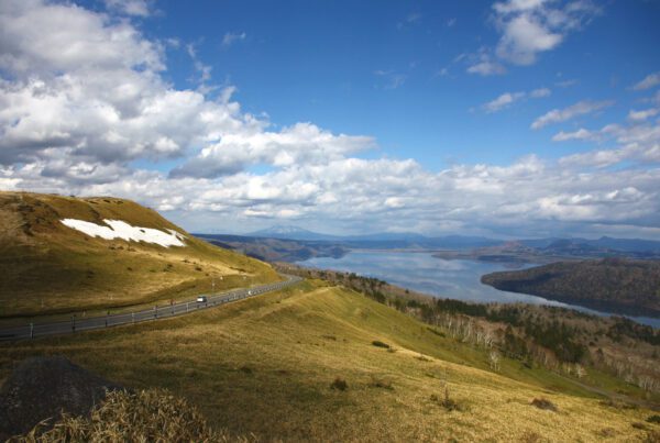 with content calm content marketing agency lessons learned 2018