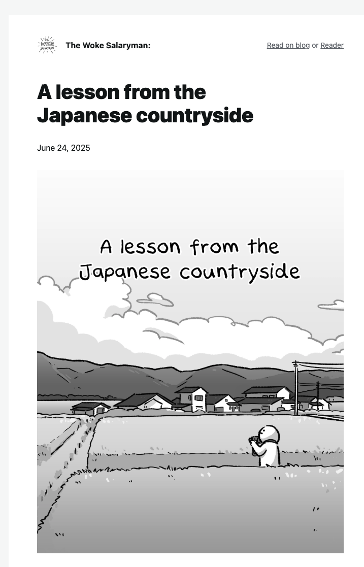 Screenshot from The Woke Salaryman newsletter